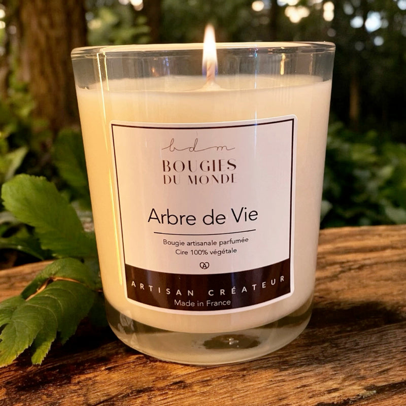 Bougie parfumée Arbre de vie de Bougies du Monde Bois de Oud et terre mouillée 